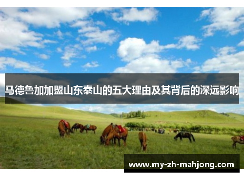 马德鲁加加盟山东泰山的五大理由及其背后的深远影响